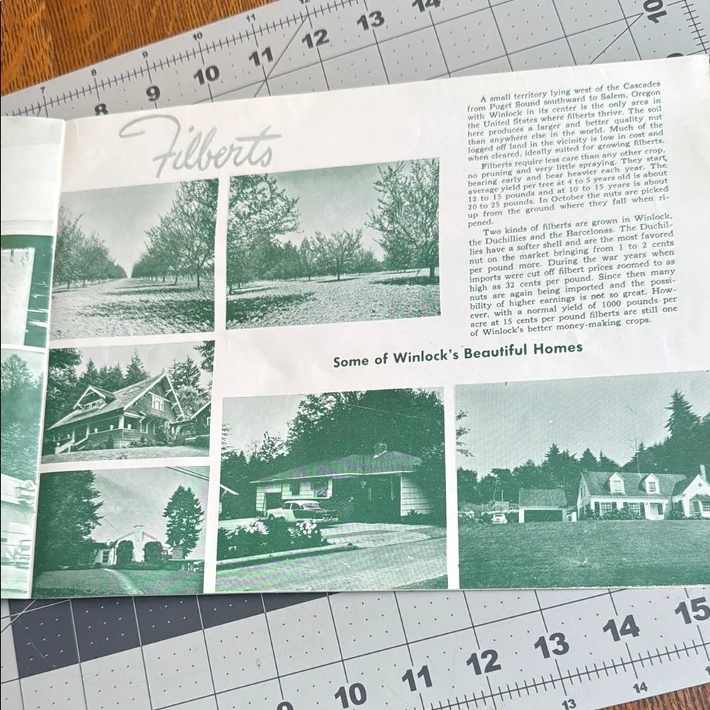 Vintage promotional booklet re Winlock, Washington w focus on poultry/hatchery